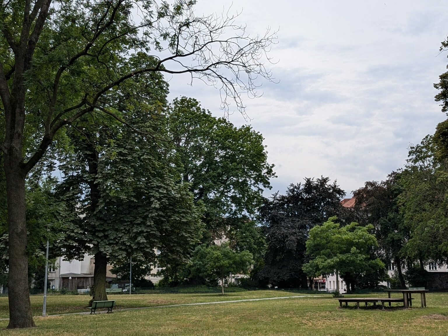 Koeltzepark Die Wiese im Koeltzepark